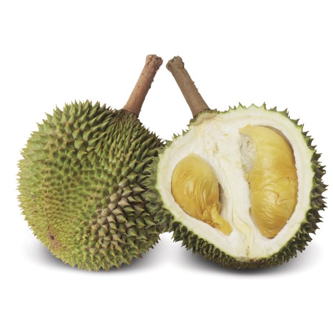 fresh-whole-durian-6