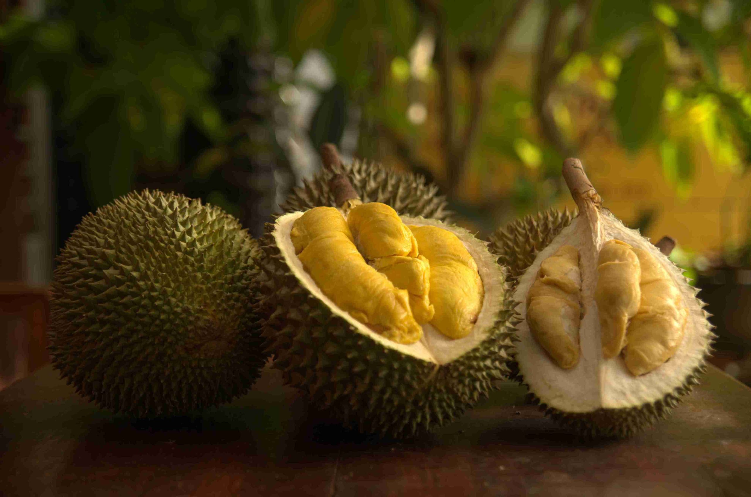 Top Fruits durian - leading durian supplier in Malaysia