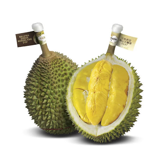 Musang king fruit