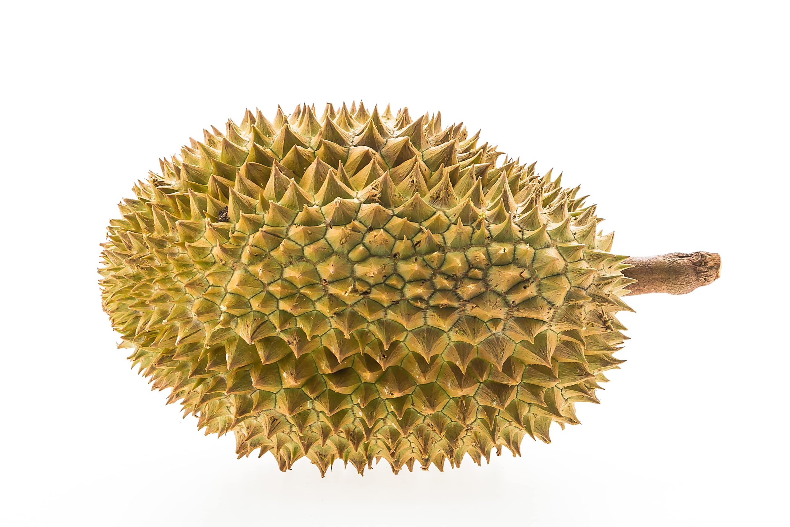 durian ripeness