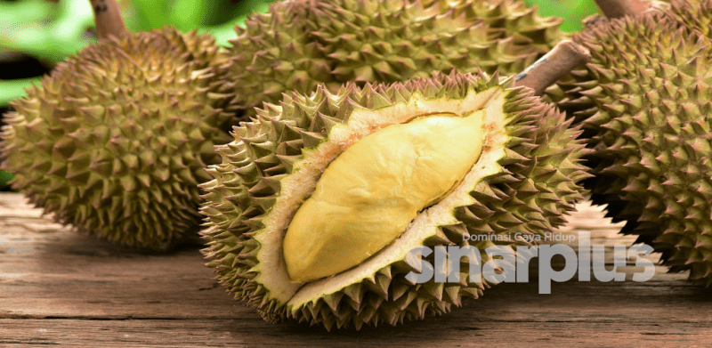 types-of-durian-kampung