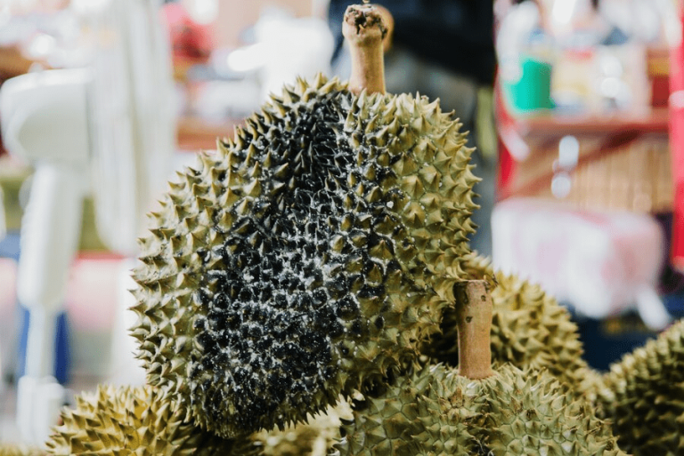 Durian Diseases and Pests: How to Prevent? - Top Fruits