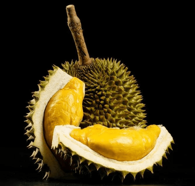 black-pearl-durian