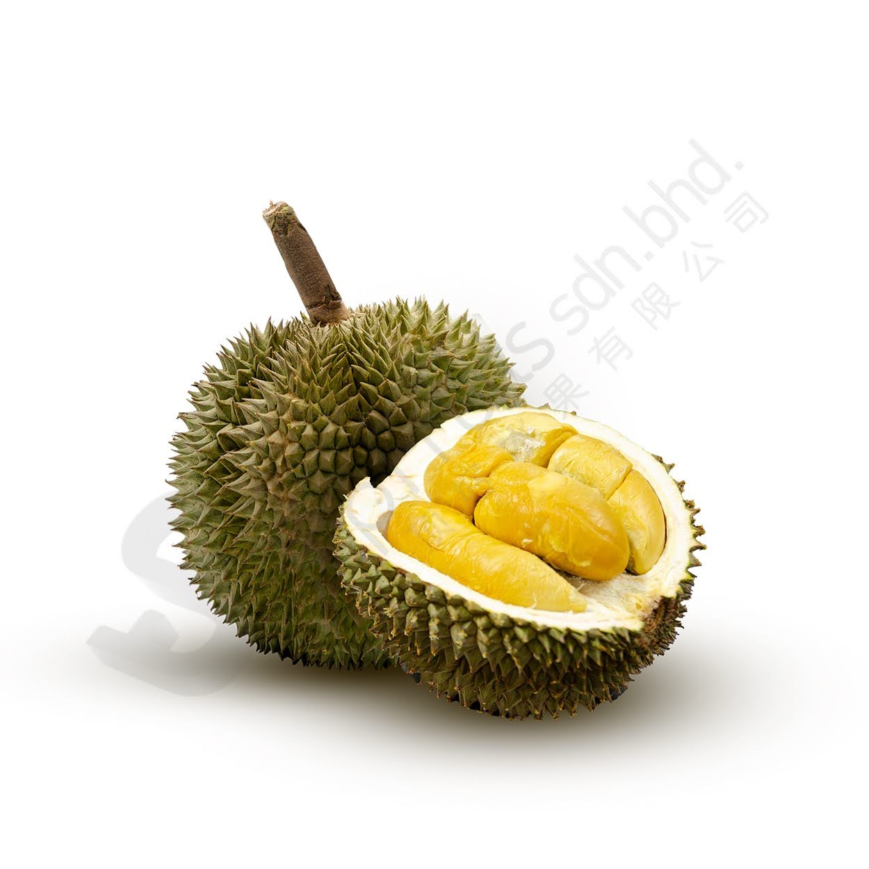 types-of-durians-black-thorn