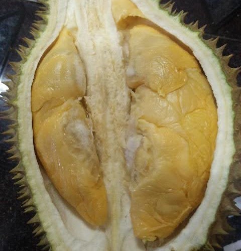 tekka-durian-photo