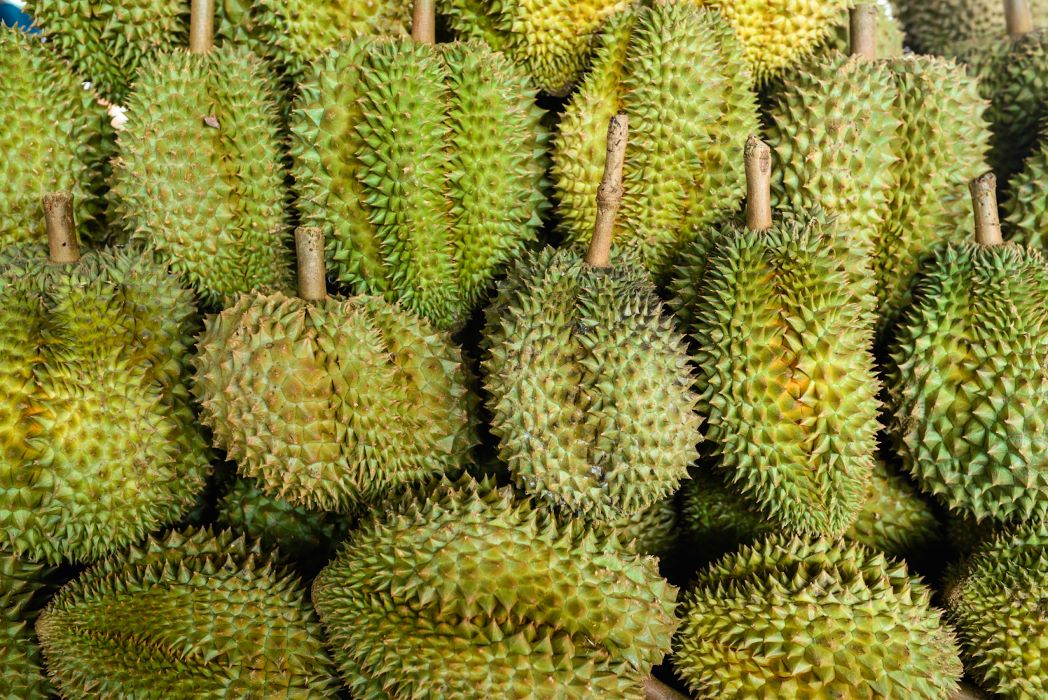 durian-in-malaysia