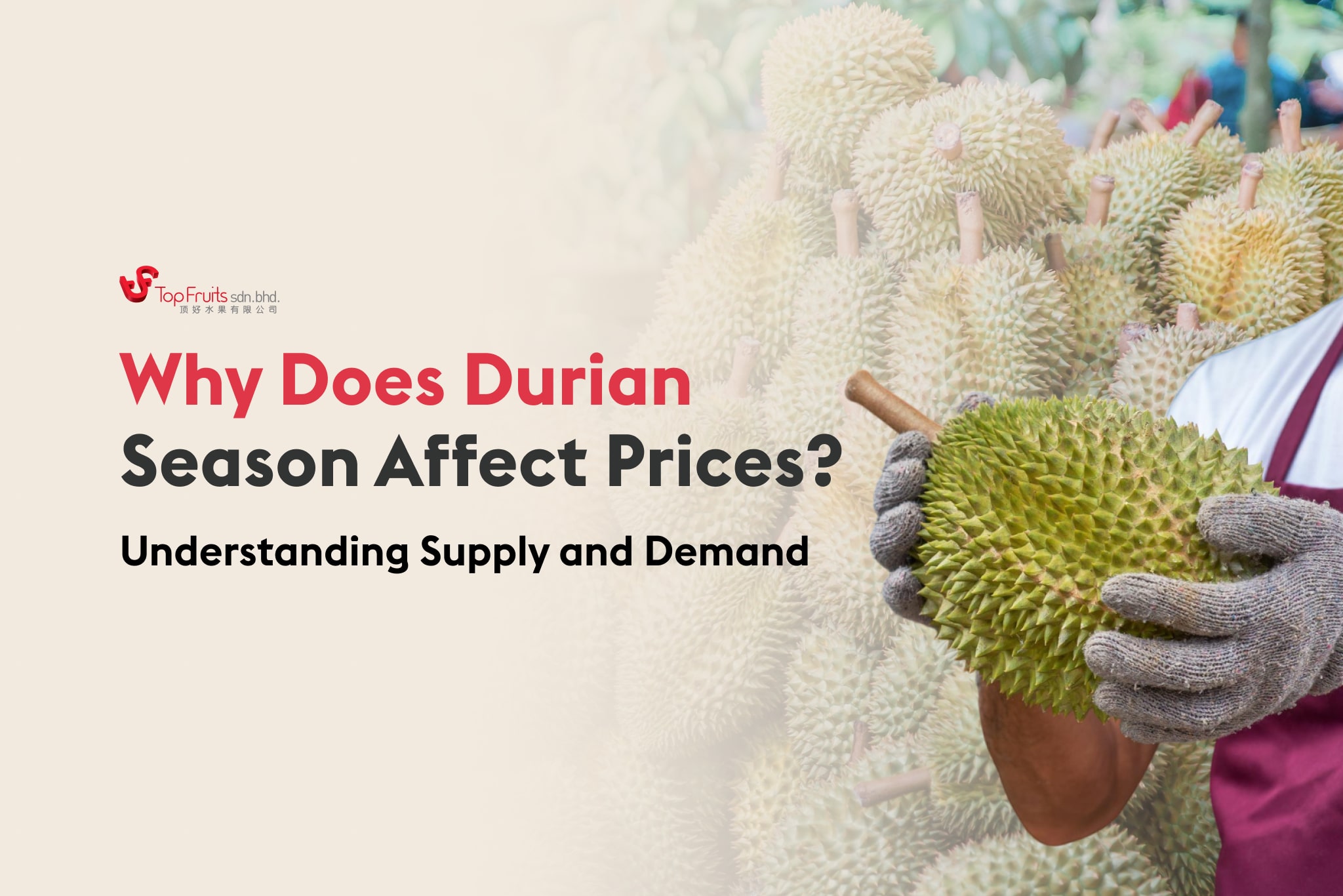 Why Does Durian Season Affect Prices? Understanding Supply and Demand