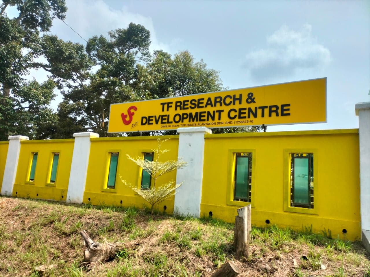 Top Fruits RD Centre